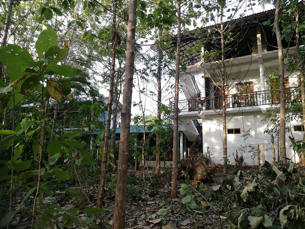 Nature House Udawalawe Dış mekan fotoğraf